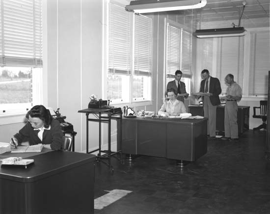 image of office workers