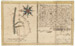 Sampling of Northern Neck Surveys