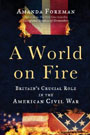 A World on Fire: Britain's Crucial Role in the American Civil War