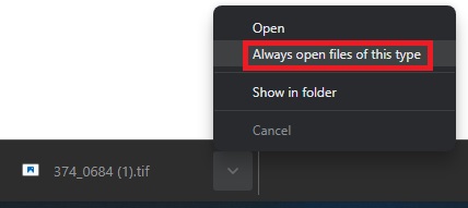 Showing the 'Always open files of this type' option on Chrome