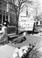 Student 'die-in' protesting first anniversary of Gulf War outside Rockingham County Courthouse.
				 Date: January 1992 Collection: JMU Historic Photos Online, Special Collections, Carrier Library, James Madison University.