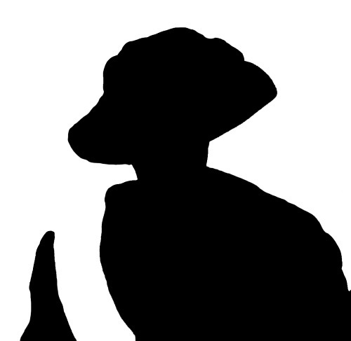 SuffrageSilhouette_Norcom_VWIH2020.jpg