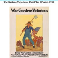 War Gardens DBVA.pdf