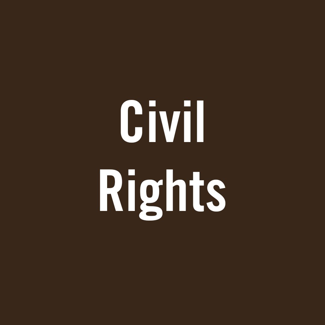 Civil Rights Bold Text Online Classroom