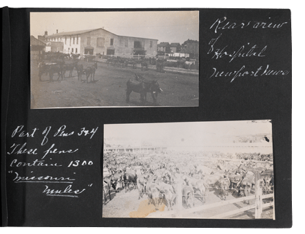 Donkey Album Page 10