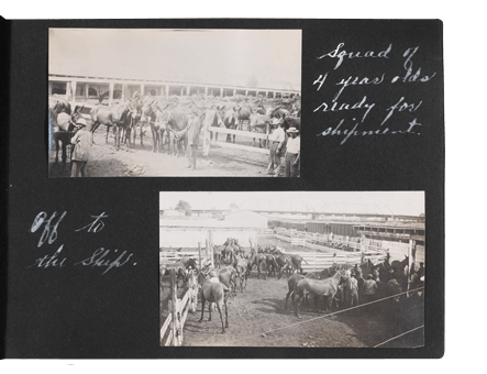 Donkey Album Page 12