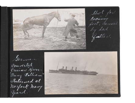 Donkey Album Page 14