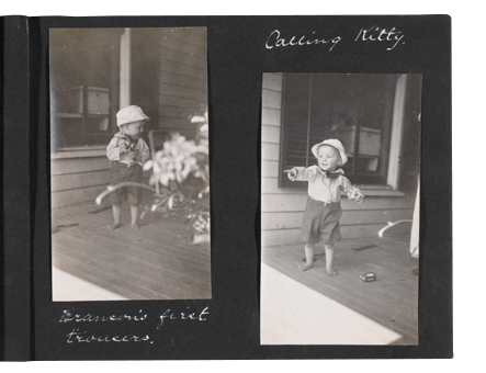 Donkey Album Page 22