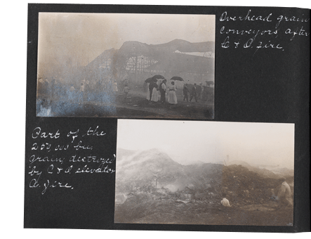 Donkey Album Page 25