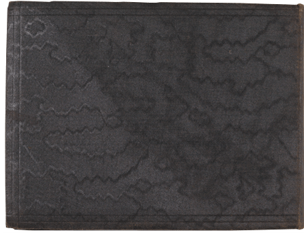 Donkey Album Back Cover