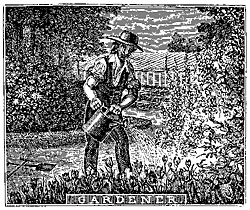 Pleasure in the Garden - A Landscape Exhibit at the Library of Virginia