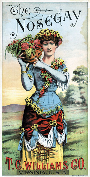 Pleasure in the Garden - A Landscape Exhibit at the Library of Virginia