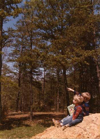 Image of poster 2 young boys sitting on a rock in the forest