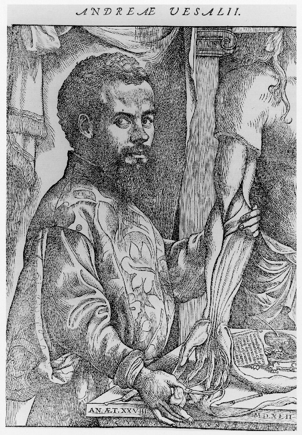 Portrait of Andreas Vesalius