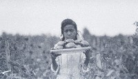 Bernice Wright, Member Home Makers Club, with dish of tomatoes grown in her garden. Jackson Davis Collection. Special Collections, University of Virginia Library, Charlottesville.