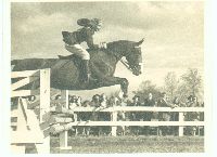 Hollins horseback riding