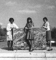 Jackie Butler, Linda Adams, and Chiquita Hudson. These are three of the first six female African American students at Virginia Tech. Date: c1966-67 Collection: Special Collections, Virginia Polytechnic Institute and State University.