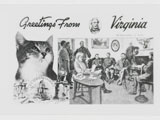 Appomattox cat postcard Date: ca. 2004 Collection: Virginia Historical Society