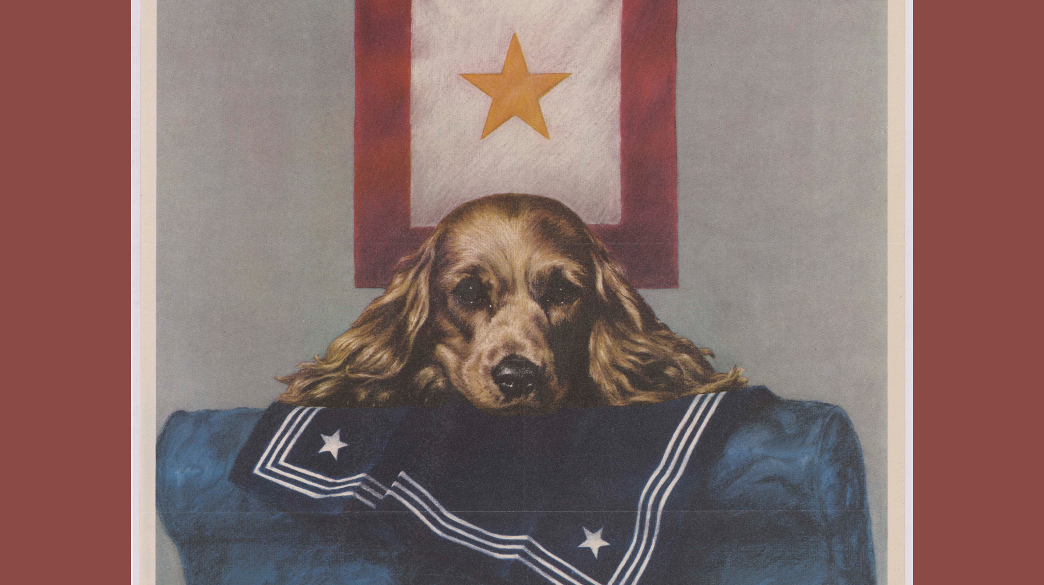 Dog with military flags