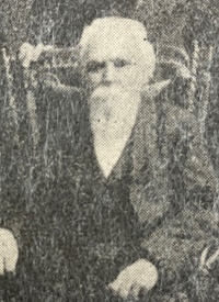 An older white man with a long beard seated in a chair.