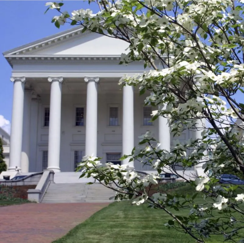 A photograph of the Virginia Capitol Building, which is white with a peaked roof and six white columns over a portico. In this image, the building is slightly obscured by a blooming white Dogwood treel.